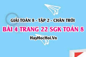 Bài 4 trang 22 Toán 8 Tập 2 Chân trời sáng tạo: Hàm Số Bậc Nhất & Ứng Dụng